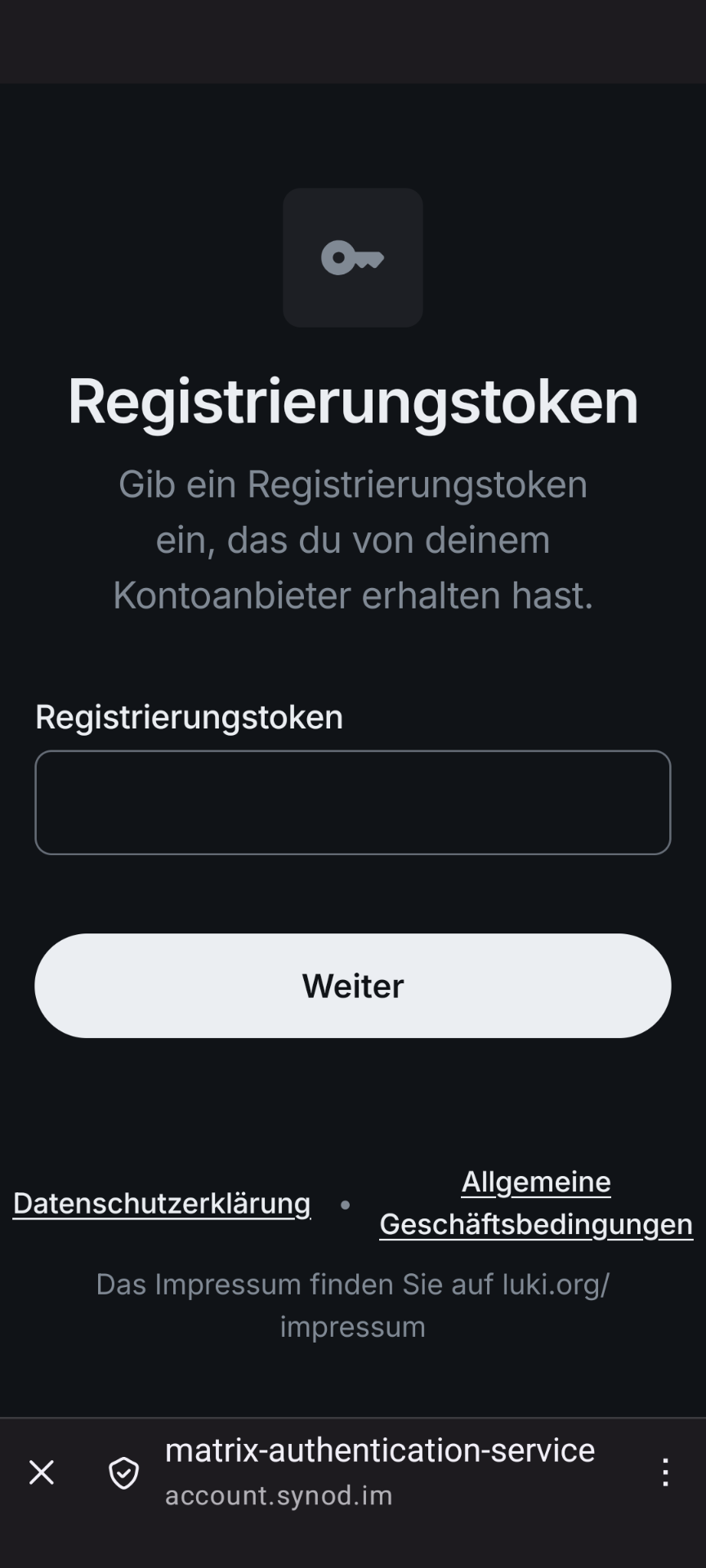 Screenshot Eingabe Token.